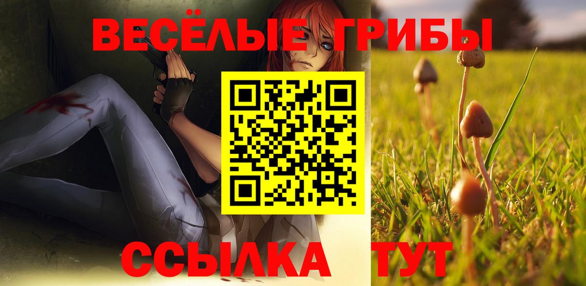 Галлюциногенные грибы прущие грибы Малгобек